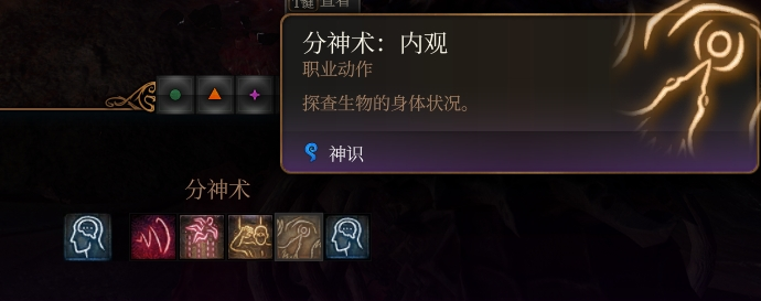 分神术:内观